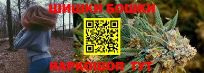 PSILOCYBIN Гатчина