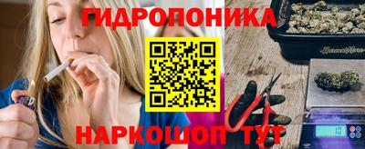 apvp Гагарин