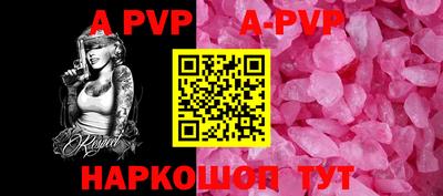PSILOCYBIN Гатчина