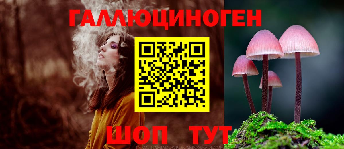 Галлюциногенные грибы Cubensis  Псилоцибиновые грибы мицелий  Москва  Вход с VPN 
